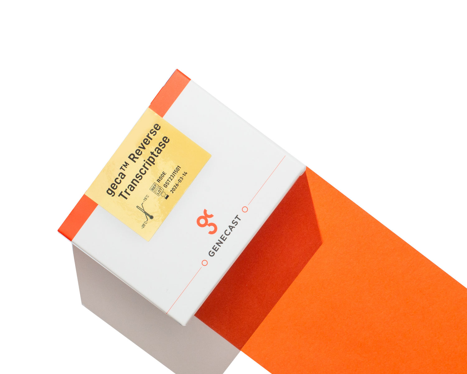 geca_Reverse_Transcriptase