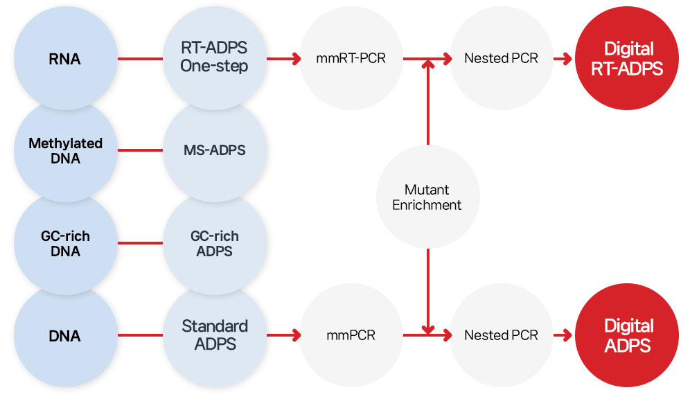 Digital_adps-direction