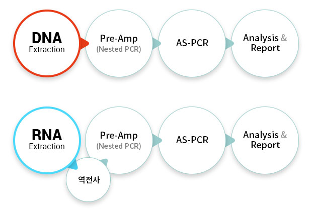 ADPS-workflow